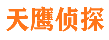 金阳市侦探调查公司